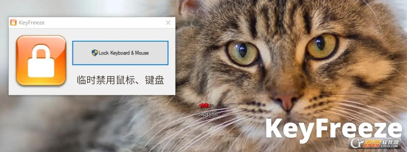 锁定鼠标键盘,keyfree正式版,keychron键盘.
